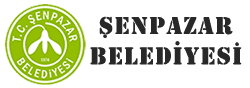 Şenpazar Belediyesi İçme Suyu Arıtma Tesisi